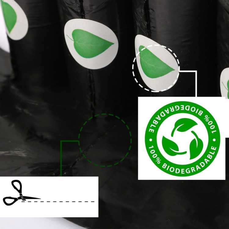 8324dab5c852f4c5c5e96a257b3ce1cc