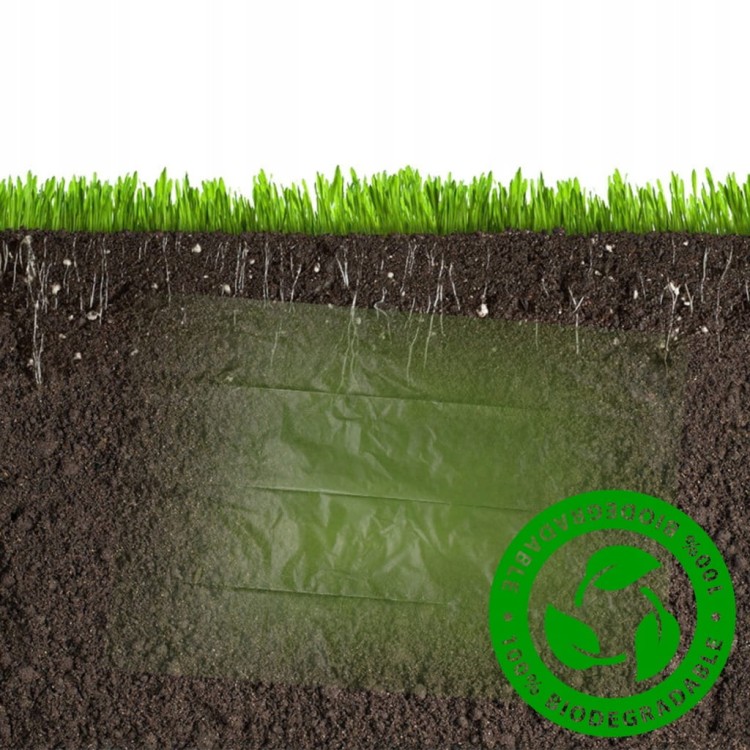 0fbc234212804fd395094a6582f8cdfe