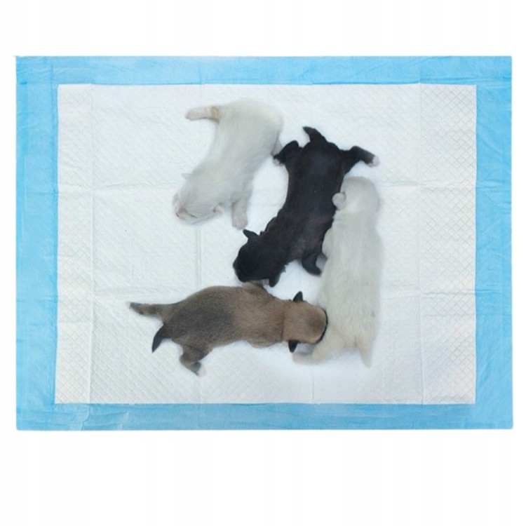 73ac591ca7061885ae5e9e6e3d1541c5