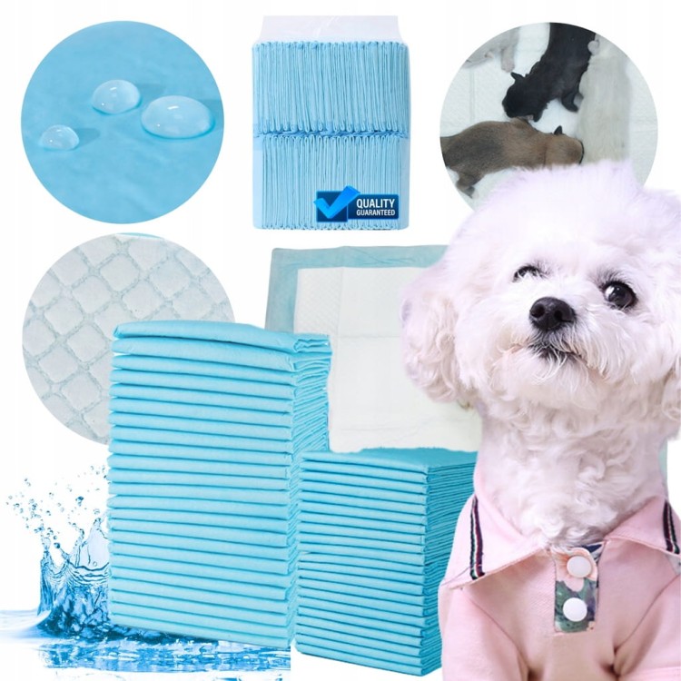 24667c7af75f3e13dfc0c622f96238cb