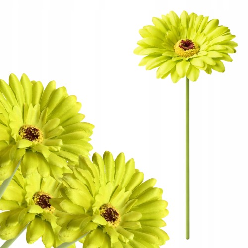 product_4073_6a04294be3154.jpg