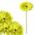 product_4073_6a04294be3154.jpg
