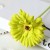 product_4073_6a04294cb6300.jpg