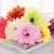 product_4073_6a04294d9a70d.jpg