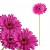 product_4074_6a042950a2e2e.jpg