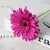 product_4074_6a0429515b9e5.jpg