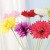 product_4074_6a042952d5858.jpg