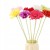 product_4074_6a04295462b97.jpg