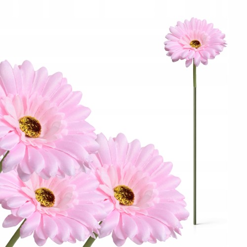product_4075_6a042955b7270.jpg