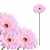 product_4075_6a042955b7270.jpg