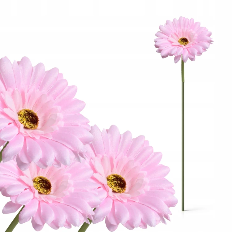product_4075_6a042955b7270.jpg