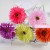 product_4075_6a04295743198.jpg