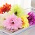 product_4075_6a042959184b9.jpg