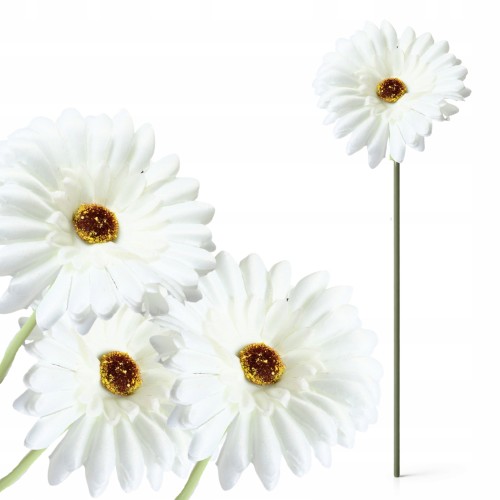 product_4076_6a04295b6fcac.jpg