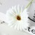 product_4076_6a04295cc4e8a.jpg