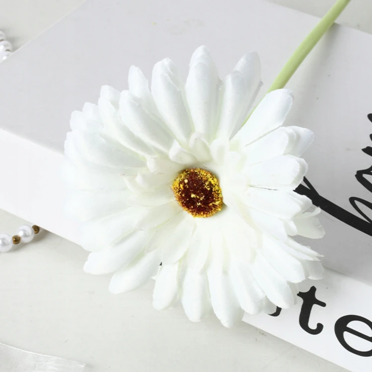 product_4076_6a04295cc4e8a.jpg