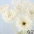 product_4076_6a04295e9e3b3.jpg