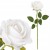 product_4077_6a04295fe839e.jpg