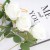 product_4077_6a042960db6c4.jpg