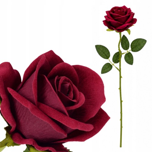 product_4078_6a042964dc97f.jpg