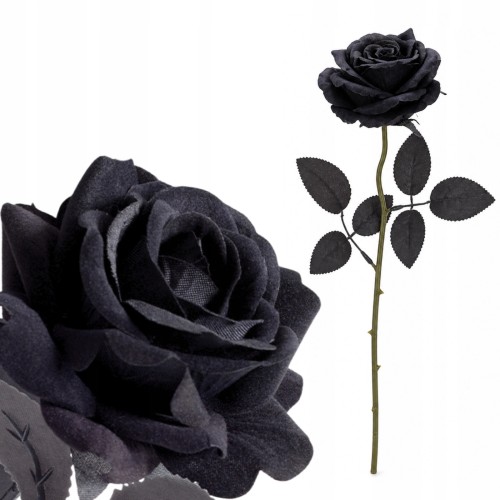 product_4079_6a0429681e26e.jpg