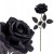 product_4079_6a0429681e26e.jpg