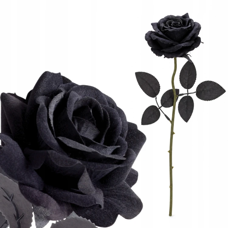 product_4079_6a0429681e26e.jpg