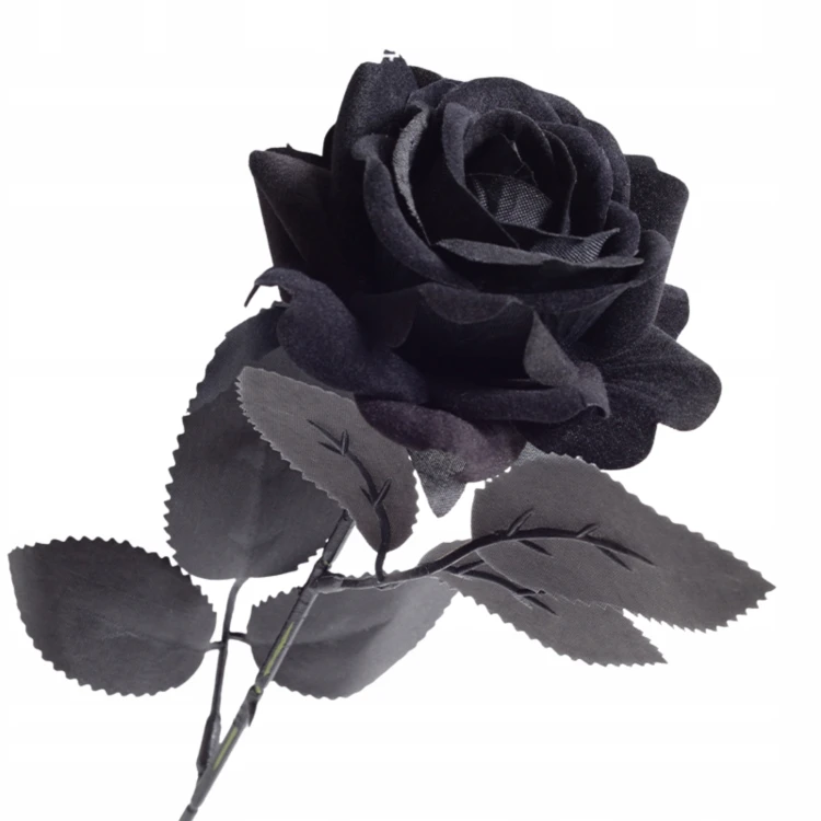 product_4079_6a04296905488.jpg