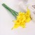 product_4080_6a04296e24732.jpg