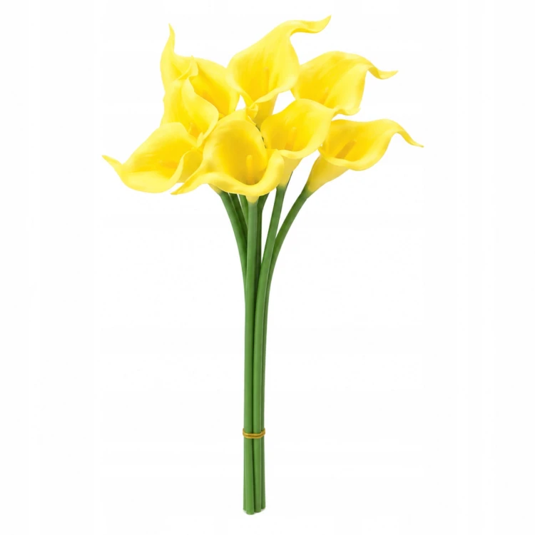 product_4080_6a04296ee2e18.jpg