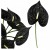 product_4082_6a042c638e6c8.jpg