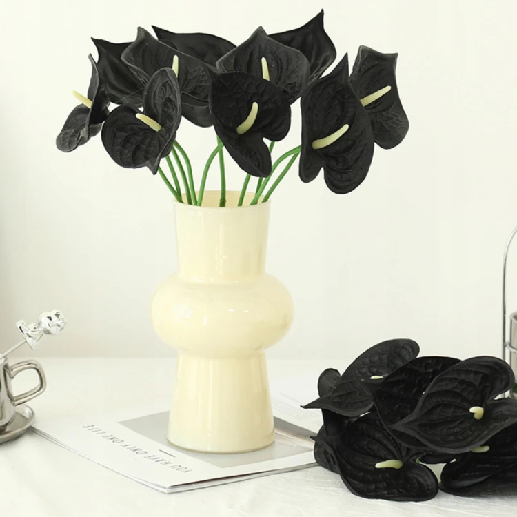 product_4082_6a042c66351b2.jpg