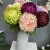 product_4083_6a042c6ae93cf.jpg