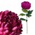 product_4084_6a042c6c45b43.jpg