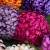 product_4084_6a042c6ebe545.jpg