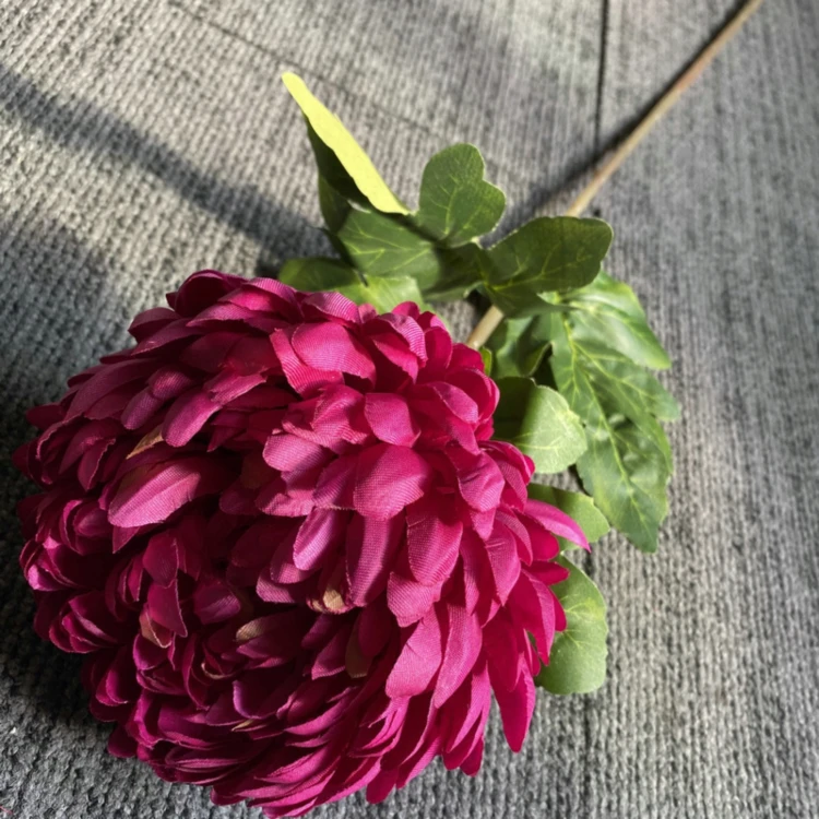 product_4084_6a042c6fd1606.jpg