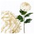product_4085_6a042c72381ac.jpg