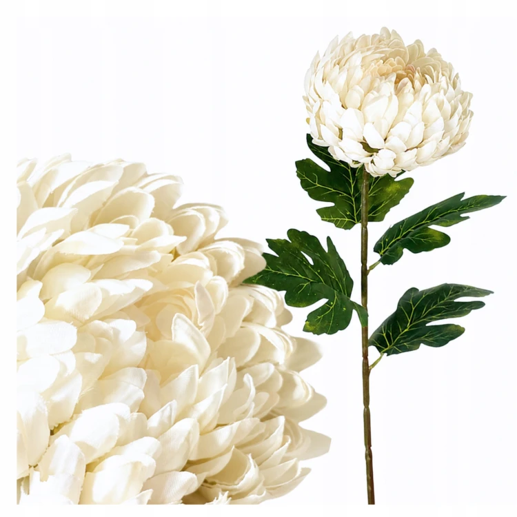 product_4085_6a042c72381ac.jpg