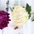 product_4085_6a042c731bdb2.jpg