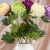 product_4085_6a042c74f0252.jpg