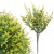 product_4086_6a042c771bcf2.jpg