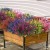 product_4086_6a042c7aab24d.jpg