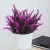 product_4087_6a042c8000fdd.jpg