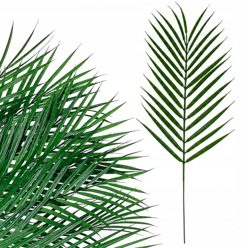 product_4089_6a042c85843f4.jpg