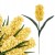 product_4092_6a042e42171d9.jpg