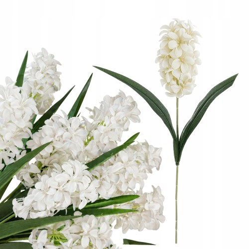 product_4093_6a042e488b386.jpg