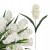 product_4093_6a042e488b386.jpg