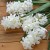 product_4093_6a042e4c4bc11.jpg