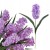 product_4094_6a042e4e6b10d.jpg