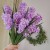 product_4094_6a042e5173c76.jpg